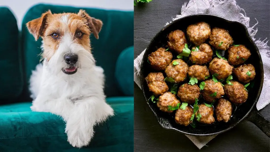 Can dogs eat meatballs?