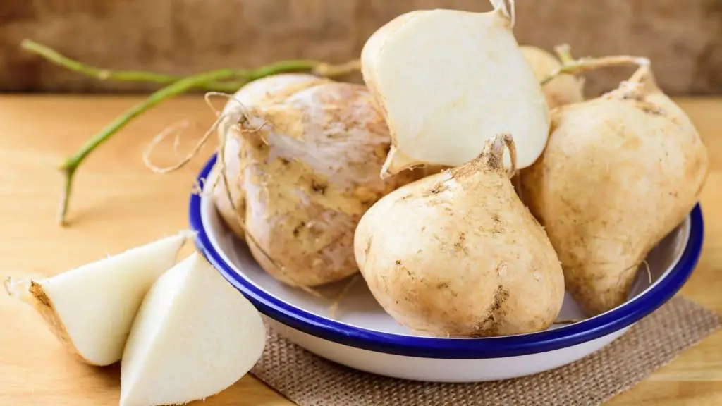 What is jicama 2 Can Dogs Eat Jicama What is jicama?