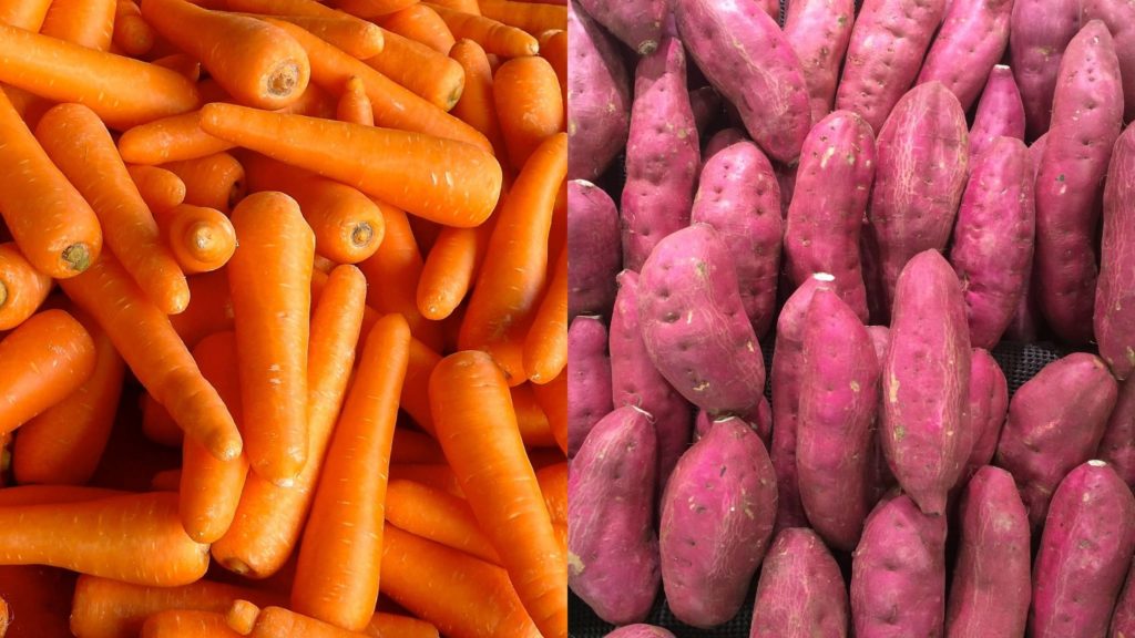 What other root vegetables are safe for dogs and which ones should be avoided?