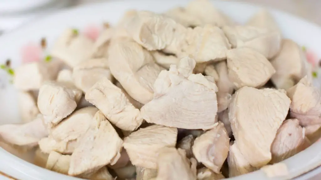 Healthier alternatives to feed your pooch
