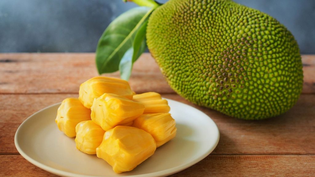 What is jackfruit?